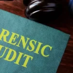 Forensic Audit: Definition, Objectives, Methodologies