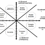 Discuss the Grand Strategy Matrix Dimensions in Detail