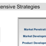 What Is Intensive Strategy? 3 Types of Intensive Strategies