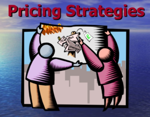 Panetration Pricing Strategy