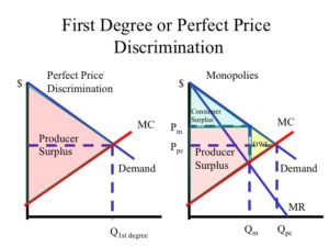 Conditions to Apply Perfect Price Discrimination