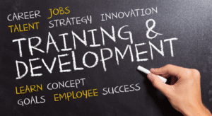 Training and Development Process