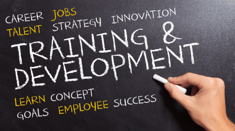 Training and Development Process