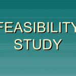 Feasibility Assessment & Business Ideas