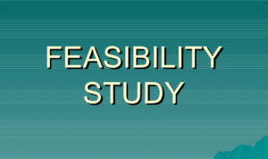 Feasibility Assesment
