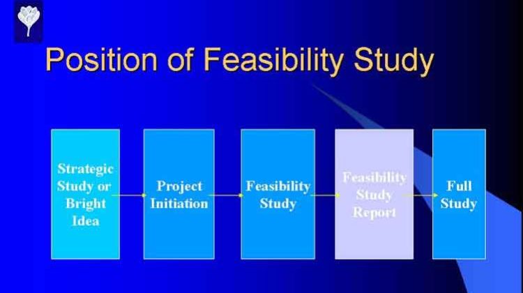 Feasibility Assessment Process