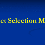 What Are The Types Of Project Selection Models?