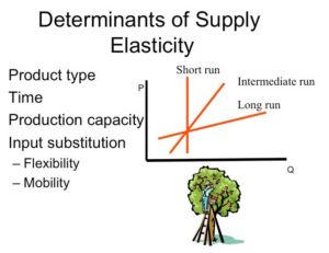 Determinants of Supply Elasticity