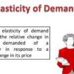 The Elasticity of Demand | Definition & Formula