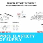 Elasticity of Supply Definition and Ways to Calculate it