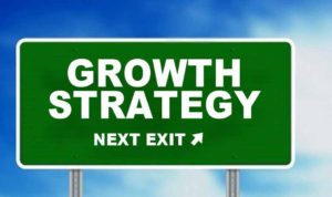 Small Business Growth Strategies