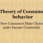 Theory of Consumer Behavior - Definition and Approaches