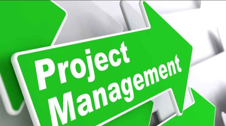 Why Specialization in Project Management