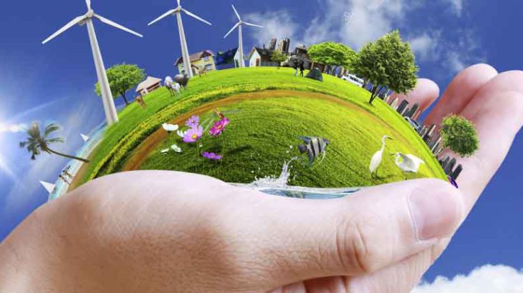 Environmental-Friendly-Business-ideas