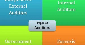 Types-of-Auditors