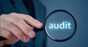 What-is-Government-Audit