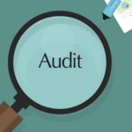 What is an External Audit – Types and Functions of an External Audit