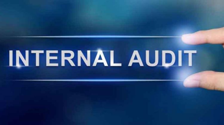 What-is-an-Internal-Audit