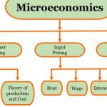 What is Microeconomics | Definition & Its Importance