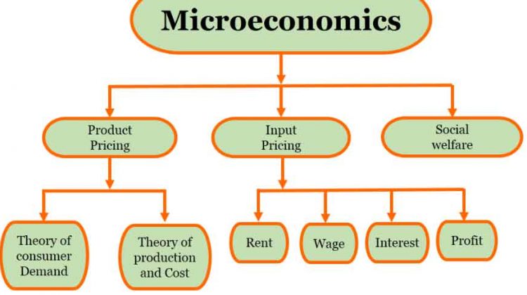 What-is-Microeconomics