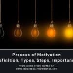 What is the Process of Motivation? Explain in detail
