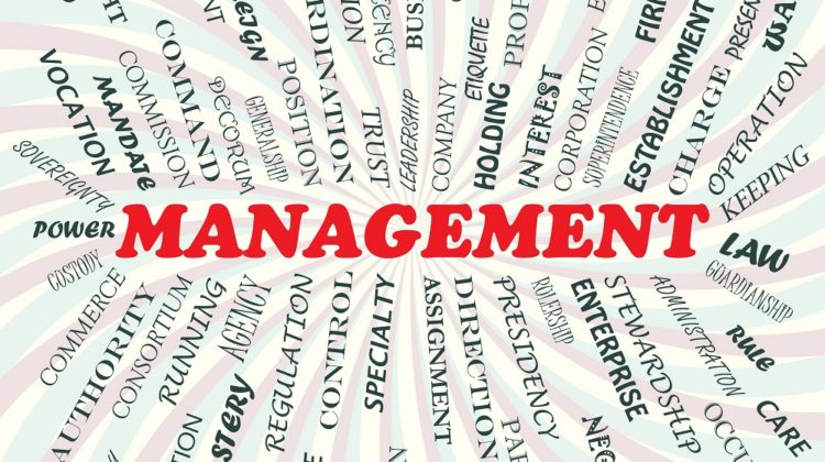 authority-in-management-image