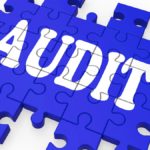 Different Types of Auditors | Characteristics of an Auditor