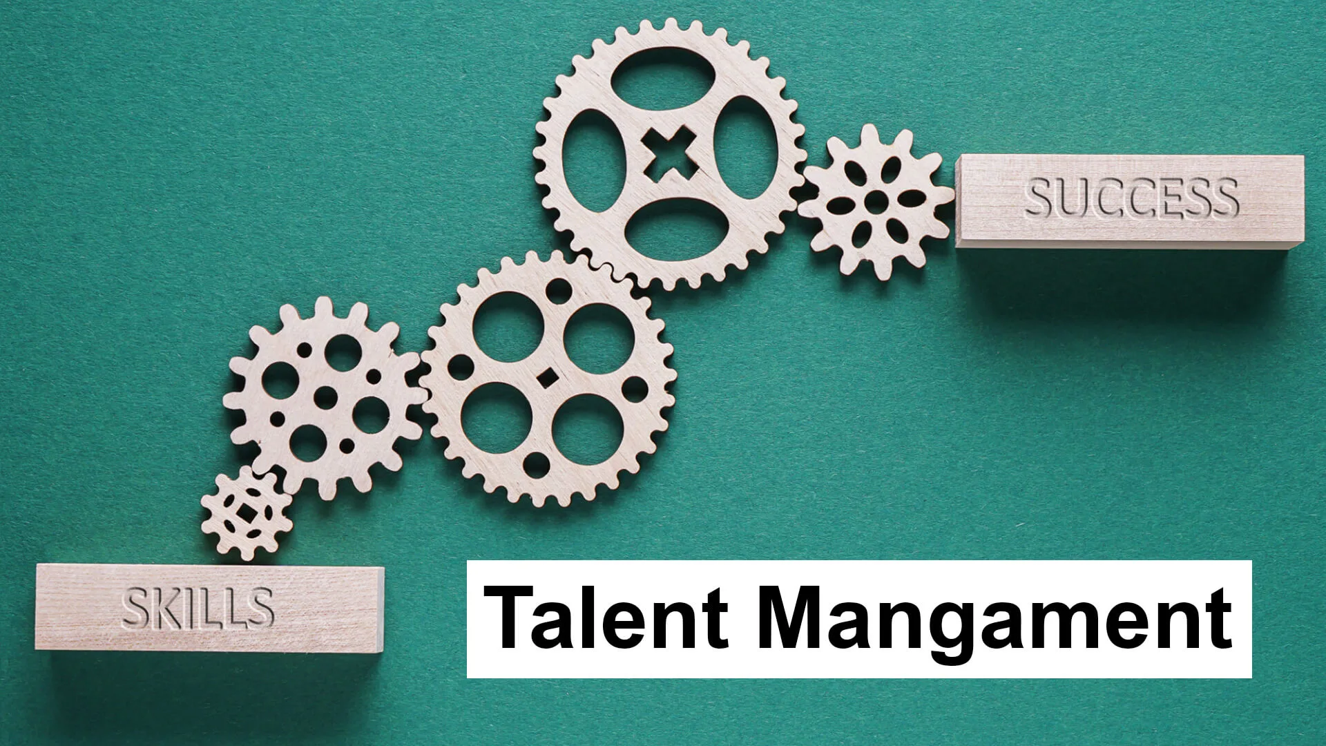 Talent Management: Definition, Strategies, Models, Process, Practices